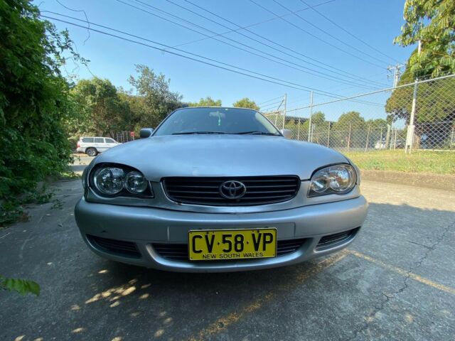 Plate original