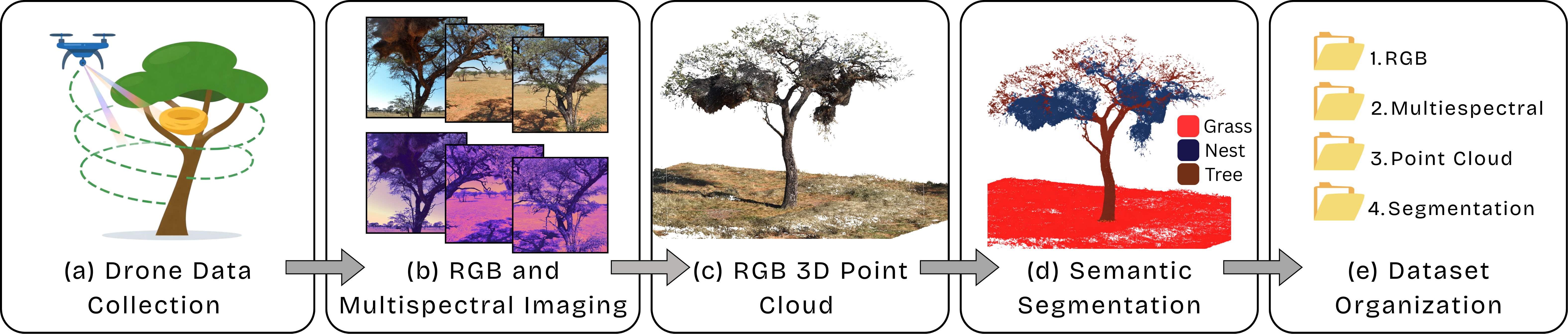 NEST3D Workflow