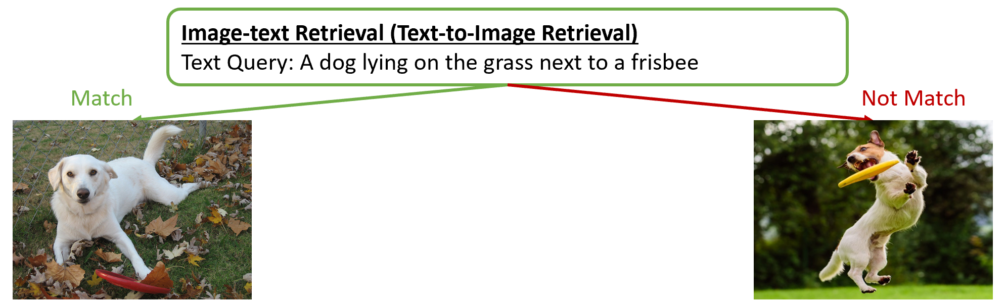Image-Text Retrieval