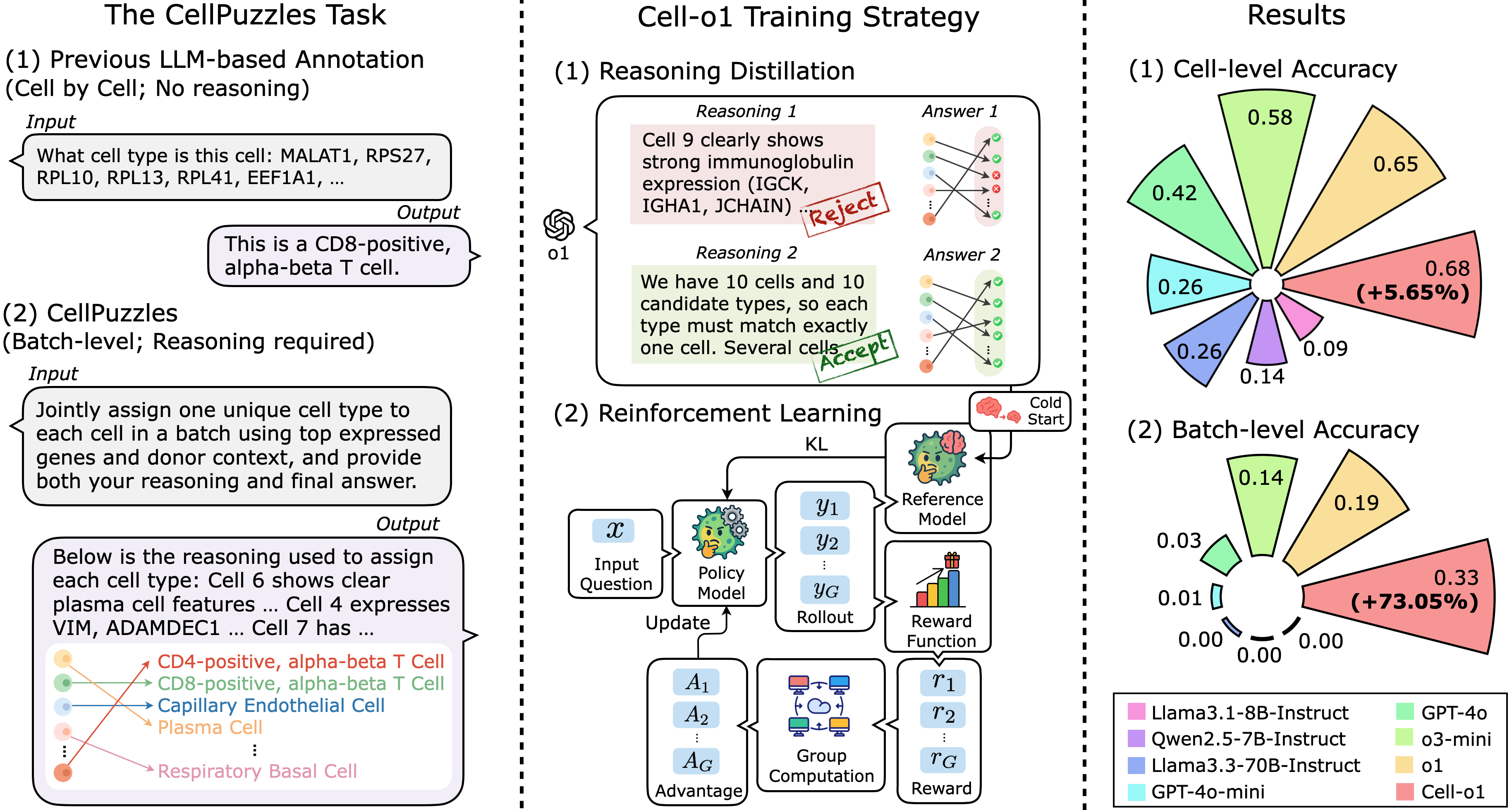 CellPuzzles Overview