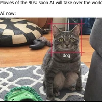 Marco Rosa's profile picture