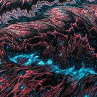 Simon Stolarczyk's profile picture