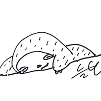 sunghyun youm's profile picture