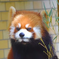 James Steele's profile picture