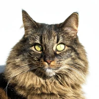 Katarzyna Krasnowska's profile picture