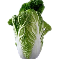 JIANG Shufan's profile picture