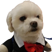 十百千's profile picture