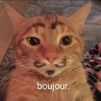 Eduardo Escoto's profile picture