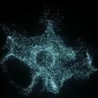 poiqazwsx's profile picture