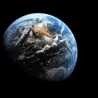 Ziwei Chen's profile picture