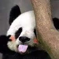 YanzheChen's profile picture