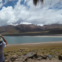 Lina Rojas's profile picture