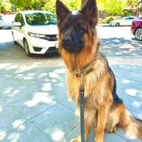 Zym Tech's profile picture