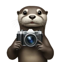 Mattia Nardon's profile picture