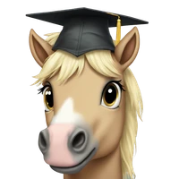 Cassandra M. Sullivan's profile picture