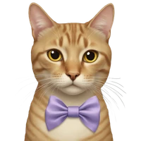 Dmitry Veryutin's profile picture