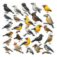 Suraj Shehu Ibrahim's profile picture