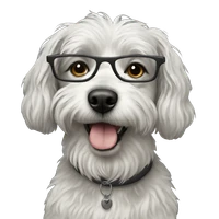 Jairo Martinez's profile picture