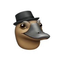 mohamed sokar's profile picture