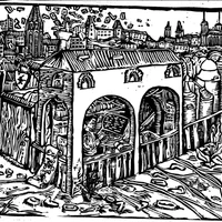 Cringwald's profile picture