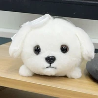 Yiqing Shi's profile picture