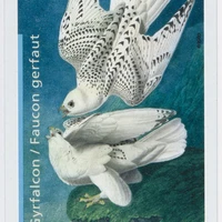 yushengrui's profile picture