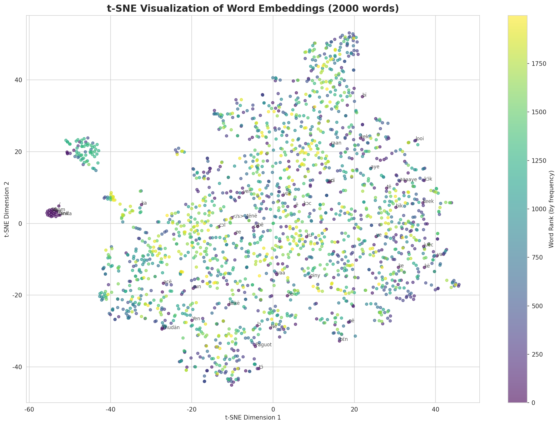 t-SNE Words